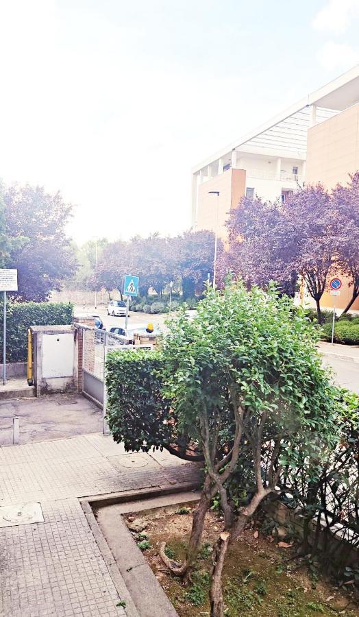 Maison Careggi Florence Luaran gambar